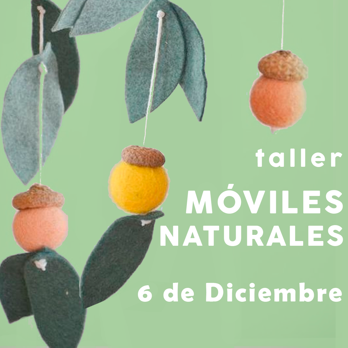 Taller ~ 6 Diciembre ~ Móviles naturales ~ Viernes 5 a 8 pm